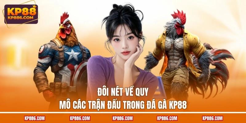 Đôi nét về quy mô các trận đấu trong đá gà KP88 Đôi nét về quy mô các trận đấu trong đá gà KP88