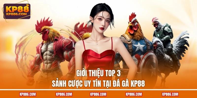 Giới thiệu top 3 sảnh cược uy tín tại đá gà KP88 Giới thiệu top 3 sảnh cược uy tín tại đá gà KP88